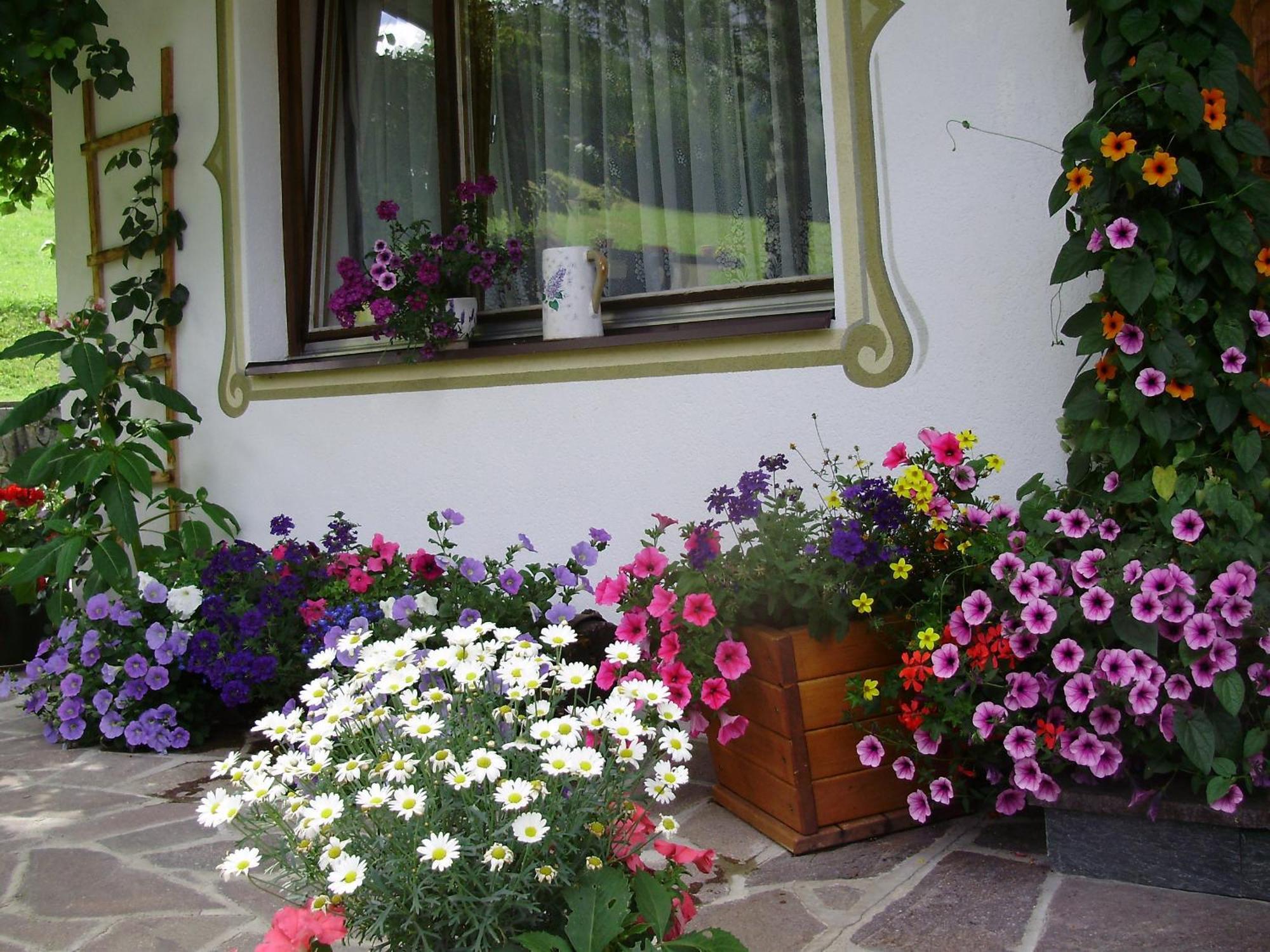 Haus Elisabeth Διαμέρισμα Berwang Εξωτερικό φωτογραφία